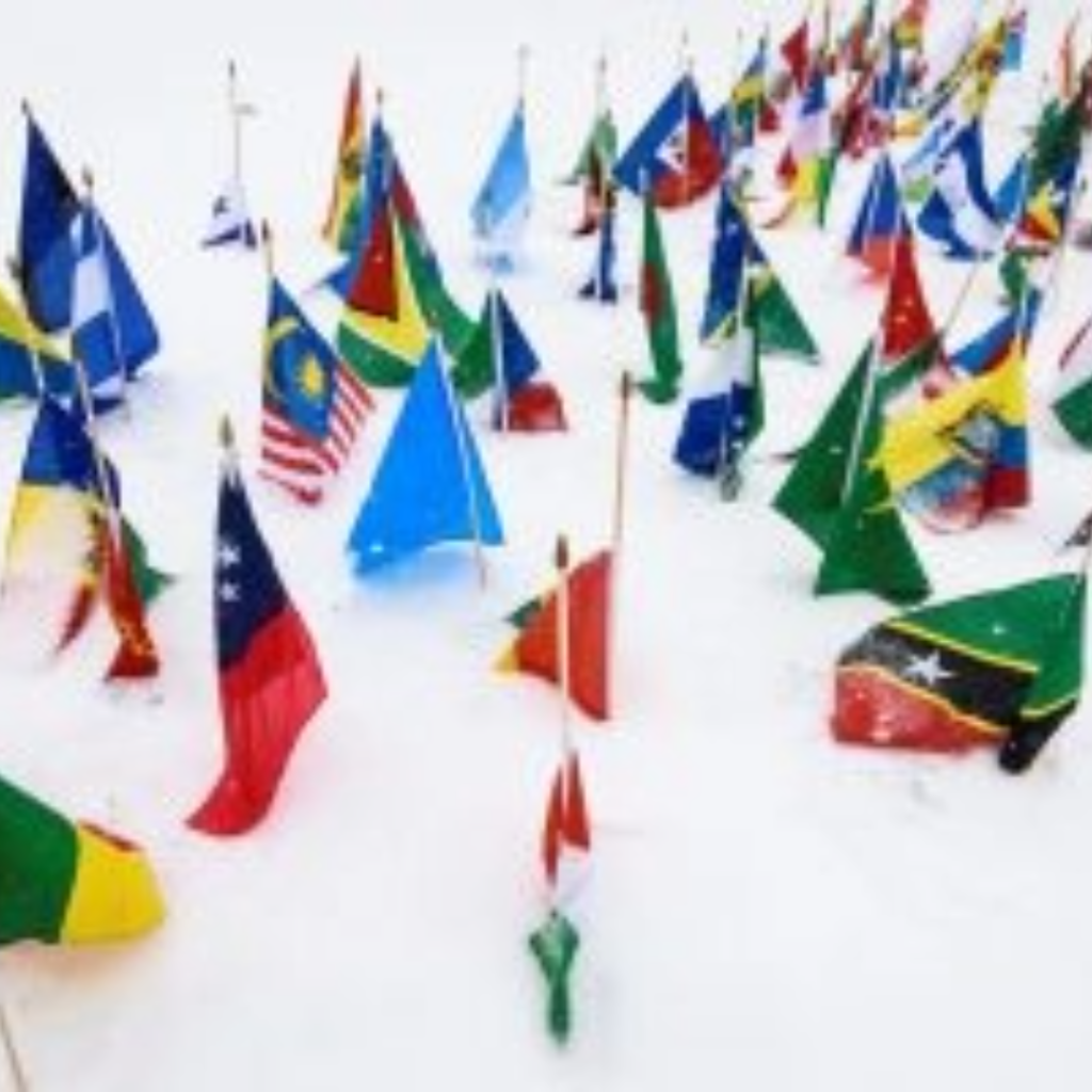Various international flags displayed on a snow covered Bascom Hill