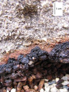 Soil Evolution Par for the Golf Course