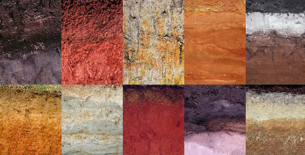 A series of 10 different soil samples. The overlay text is clickable and will take you to the the webpage for the Soil Science Doctoral Minor program.