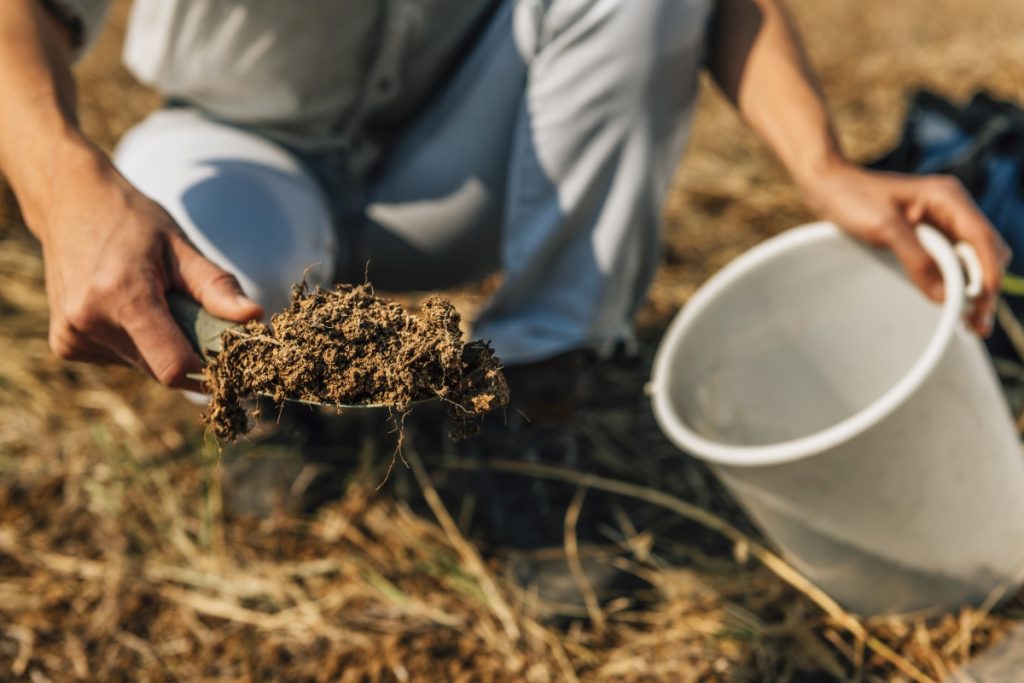 Scooping soil and ground cover into a bucket. The overlay text is clickable and will take you to the Foundation donation page for the Department of Soil Science Fund.